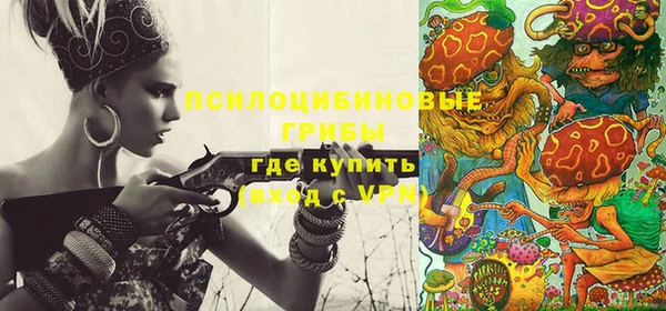 амфетамин Елизово