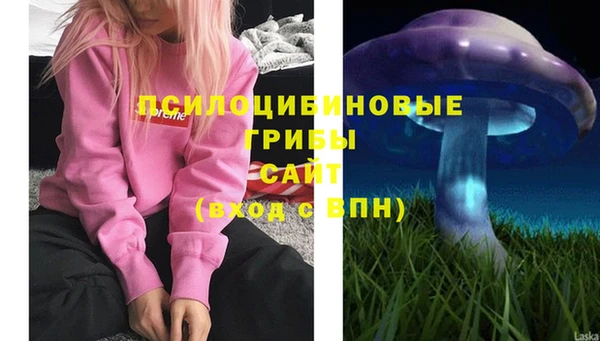 ECSTASY Ладушкин