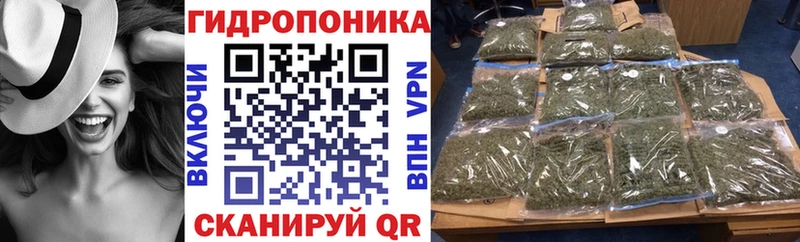 Марихуана THC 21%  купить закладку  Долгопрудный 